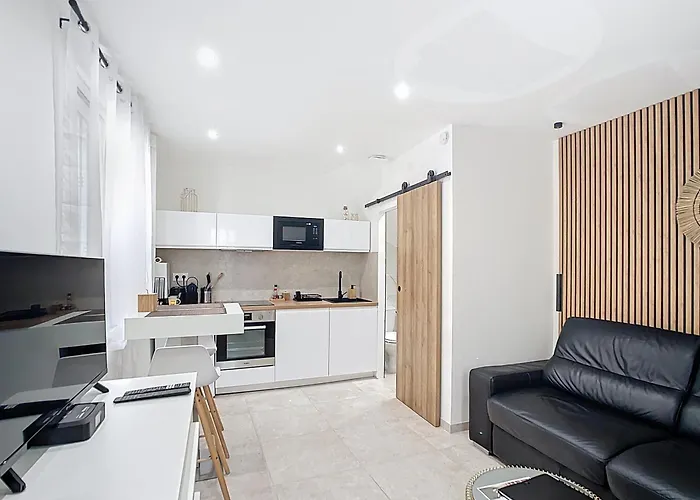 Cosy Viel Διαμέρισμα Αντίμπ